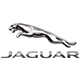 Jaguar en San Luis